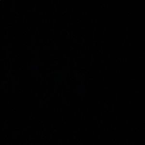 Meet your Posher, Youssef